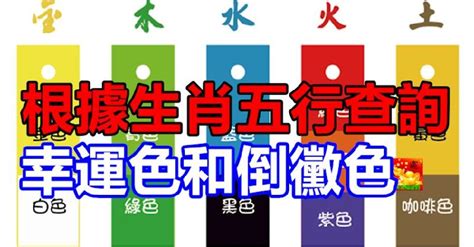 屬火忌顏色|根據生肖五行查詢幸運色和倒霉色